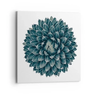 Quadro em tela - Estrela do Deserto - 70x70 cm