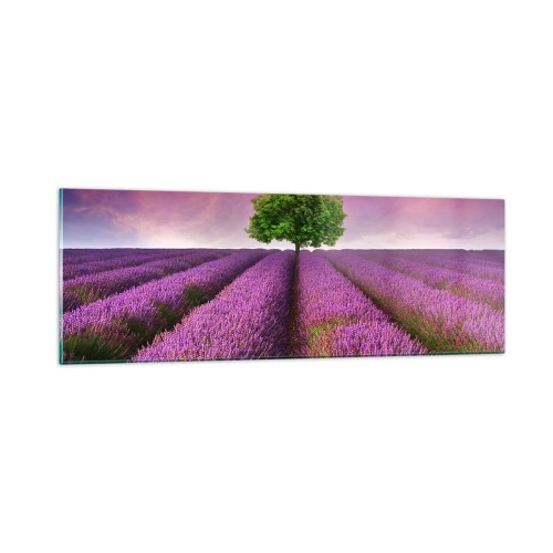 Quadro em vidro - Nos campos de lavanda - 90x30 cm