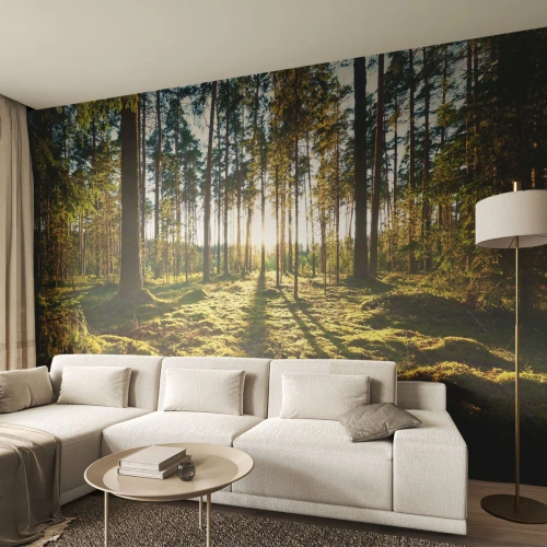 Papel de Parede Standard Eco - ...Além das sete florestas - Paisagem, Floresta, Natureza - 300x210 cm