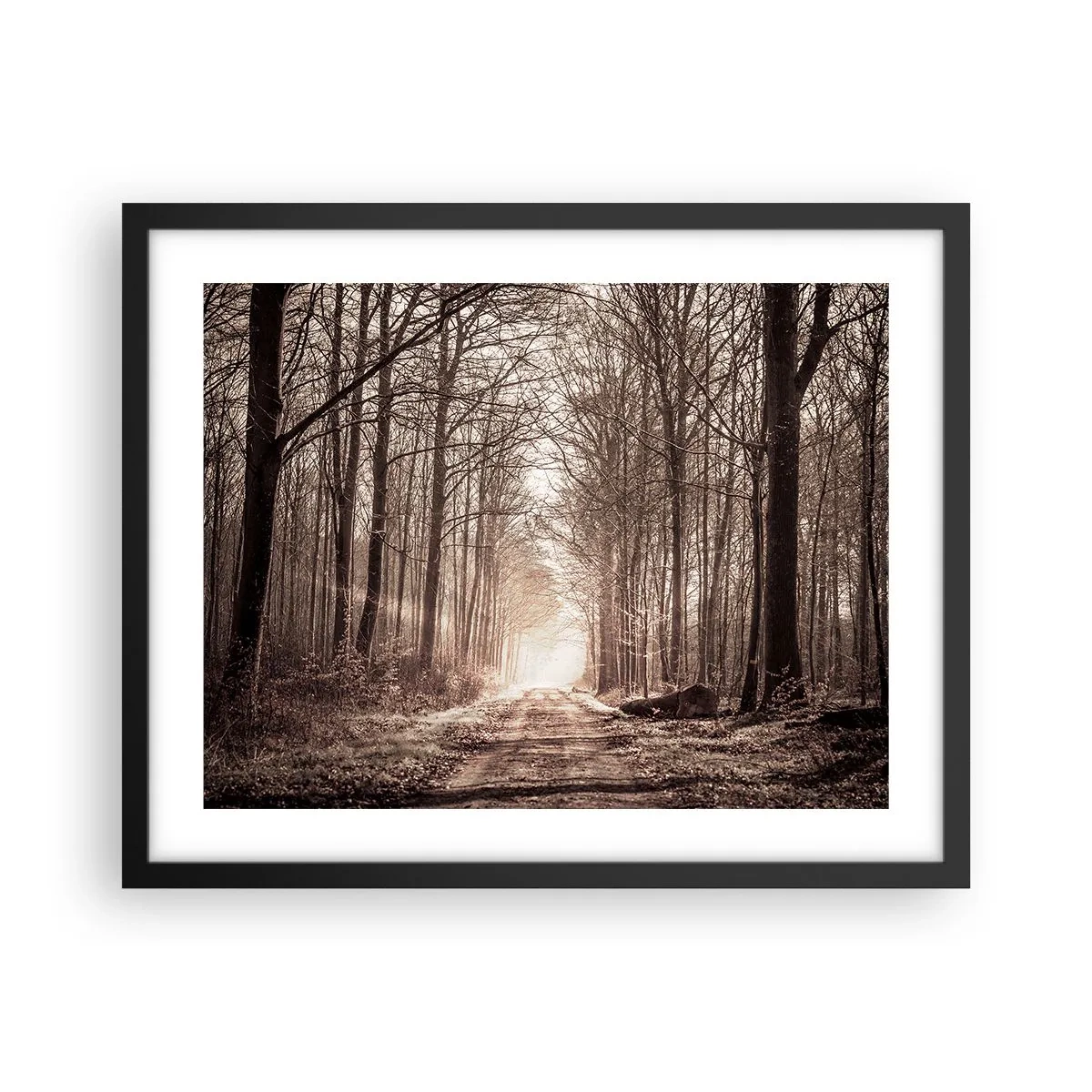 Pôster com moldura preta - Catedral na Floresta - 50x40 cm