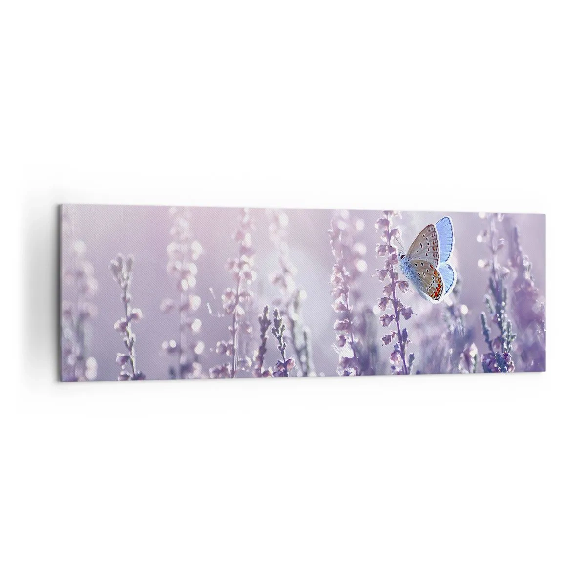 Quadro em tela - O beijo da borboleta - 160x50 cm