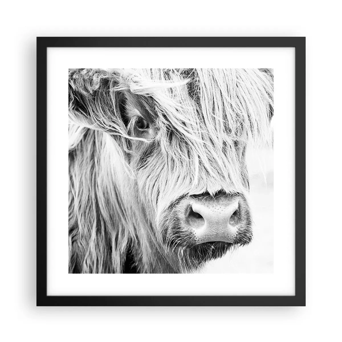 Pôster com moldura preta - Natureza selvagem escocesa - 40x40 cm