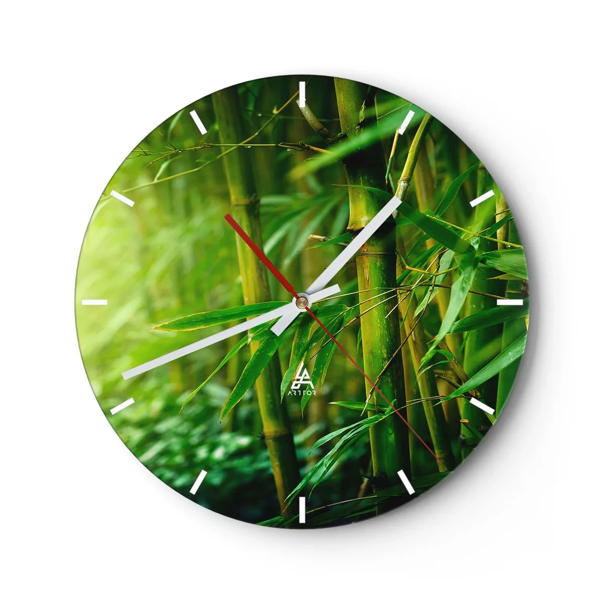 Relógio de parede - Relógio em vidro - Conheça a vegetação  - 40x40 cm