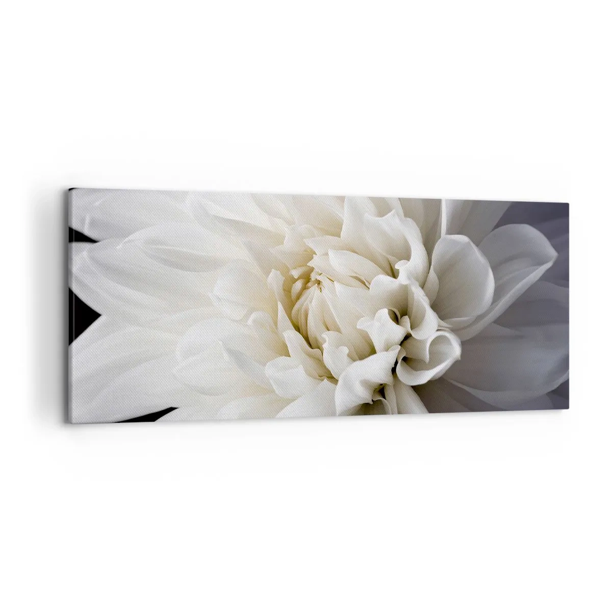 Quadro em tela - Manhã da noiva - 120x50 cm