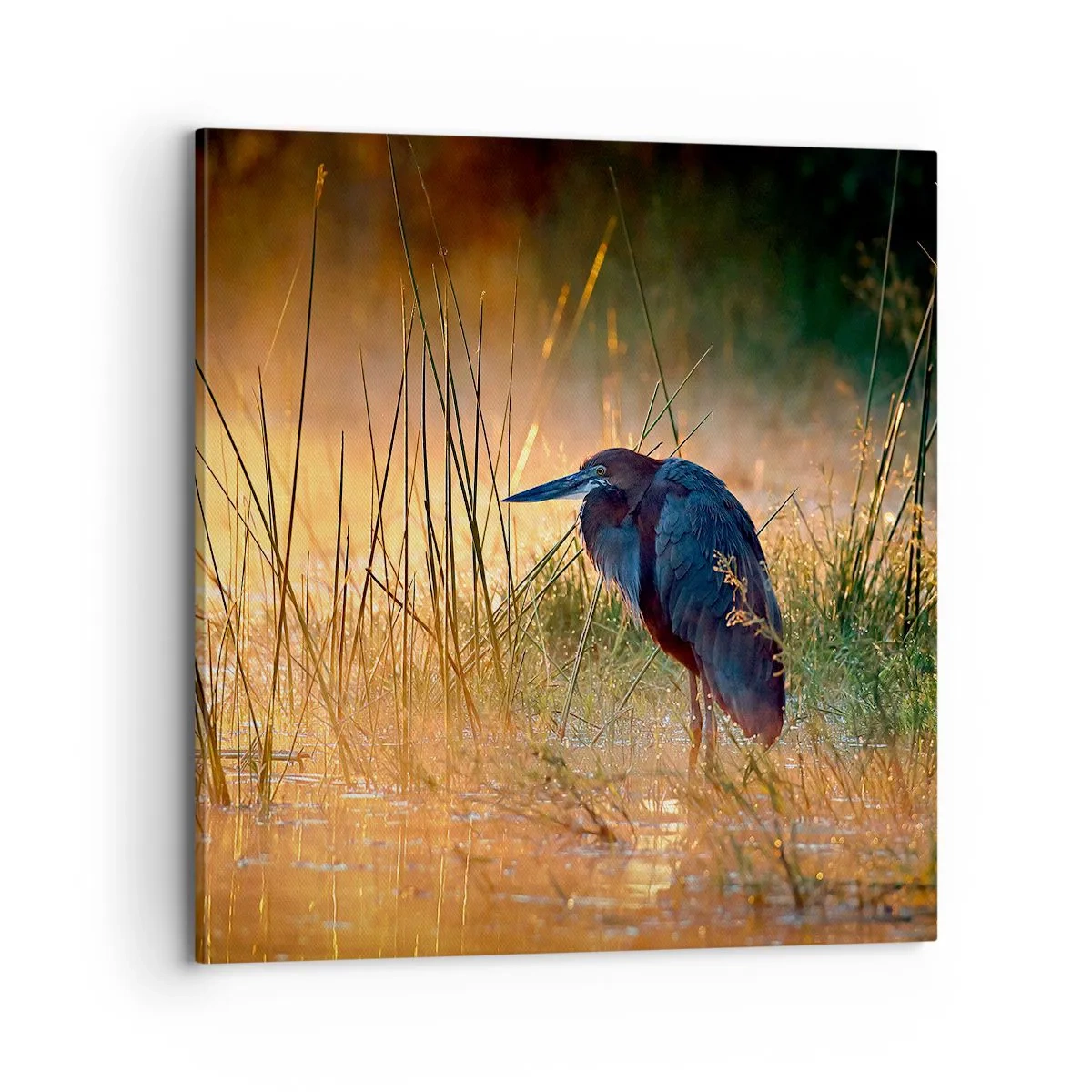 Quadro em tela - Já chega de fotos - 70x70 cm