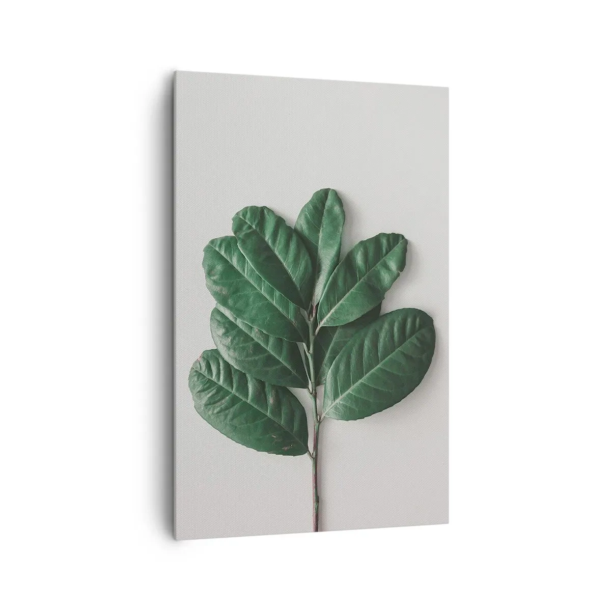 Quadro em tela - Desenho da própria natureza - 80x120 cm