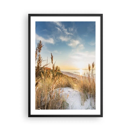 Pôster com moldura preta - Paisagem de praia ensolarada com gramíneas nas dunas - 50x70cm - Praia do Norte - Decoração de parede moderna para a sala de estar e quarto ARTTOR