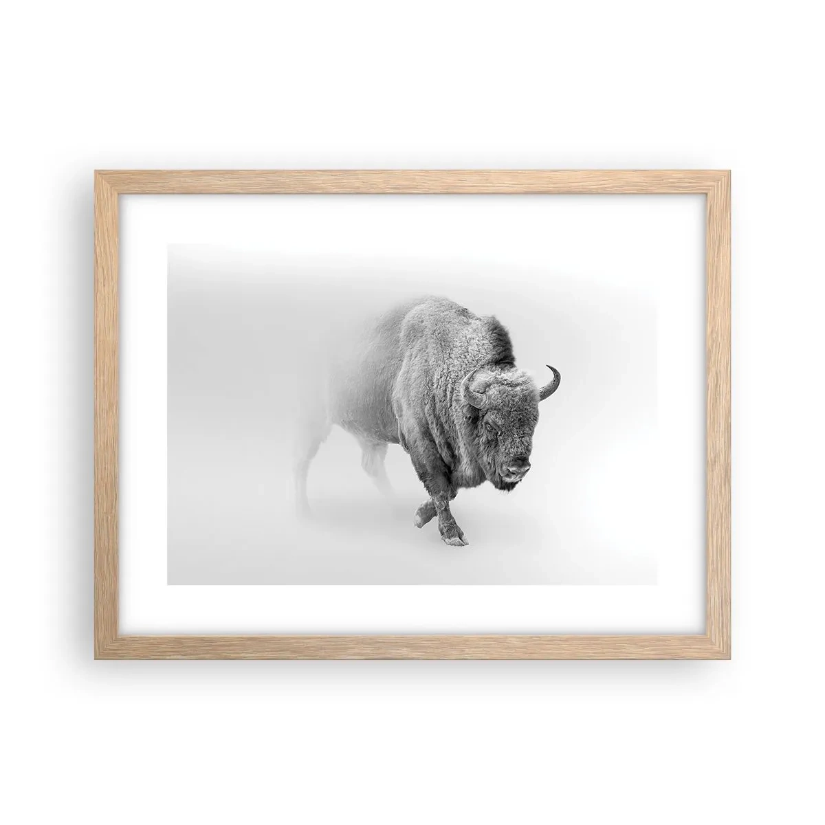 Pôster com moldura de carvalho claro - Rei da Pradaria - 40x30 cm