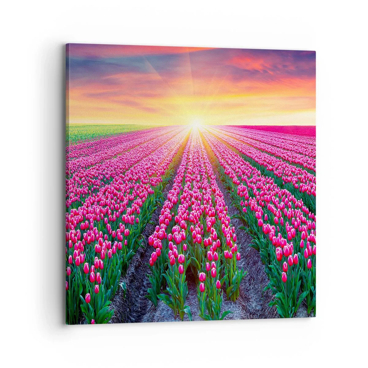 Quadro em tela - Quinta da Beleza - 70x70 cm