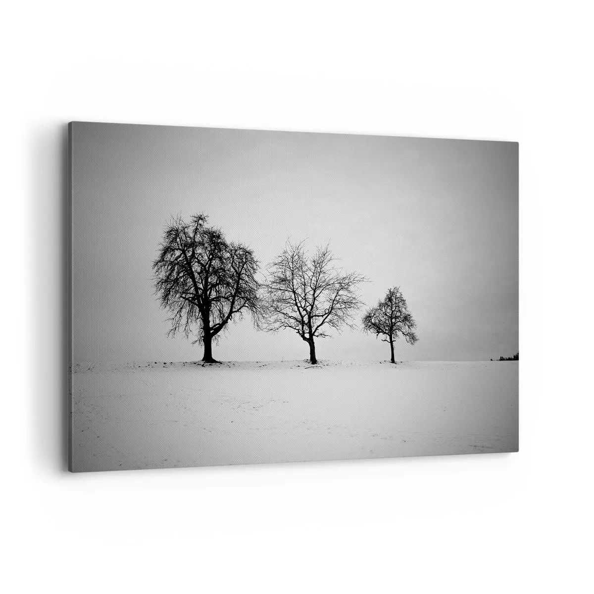 Quadro em tela - Com que sonham elas? - 120x80 cm