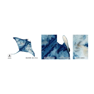 Amostra de papel de parede autocolante Deluxe Sticker - A vida em azul - Arraia, Peixe, Estilo à beira-mar - 100x30 cm
