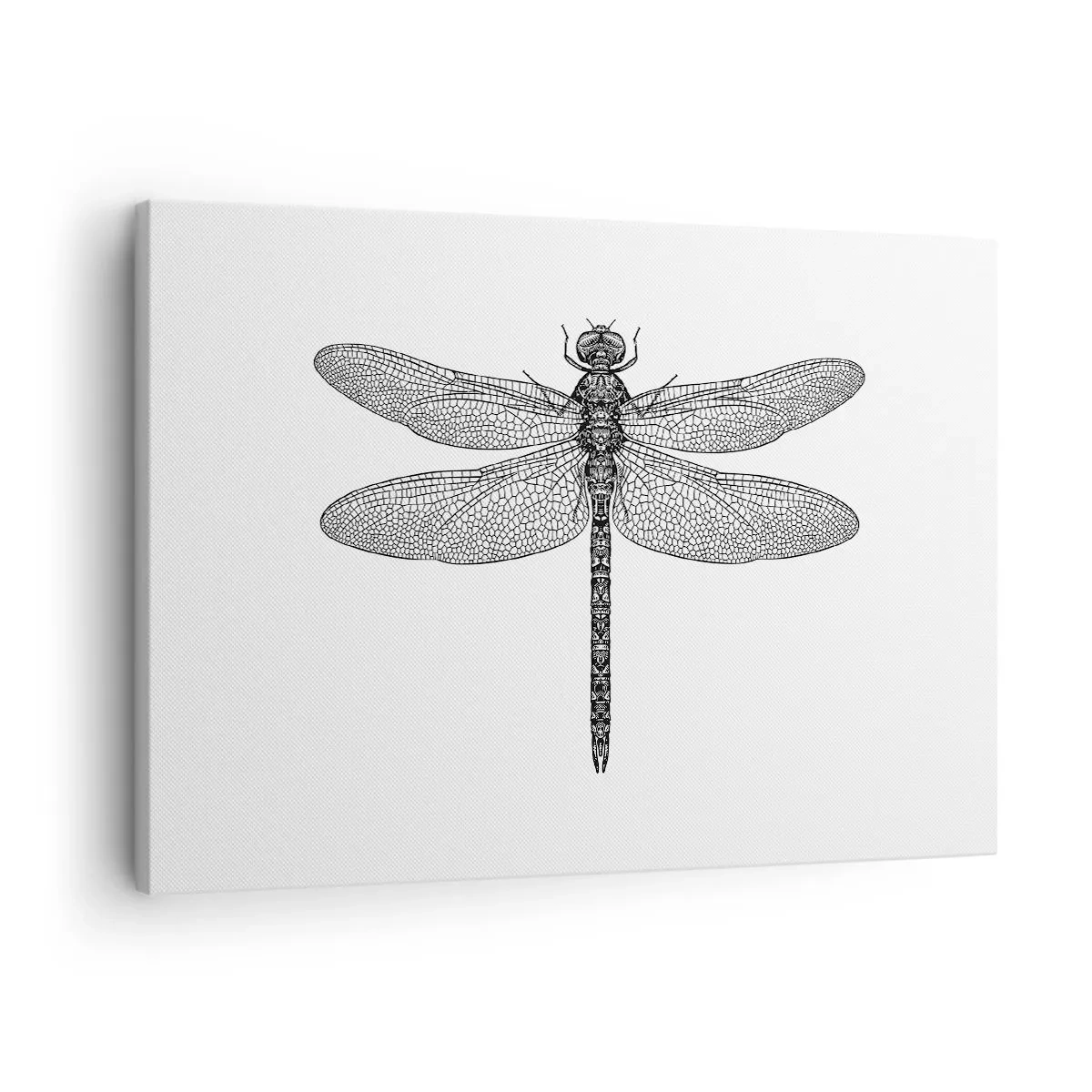 Quadro em tela - Desenho em preto e branco de uma libélula sobre fundo branco em estilo minimalista - 70x50cm - Precisão da natureza - Decoração de parede moderna para a sala de estar e quarto ARTTOR