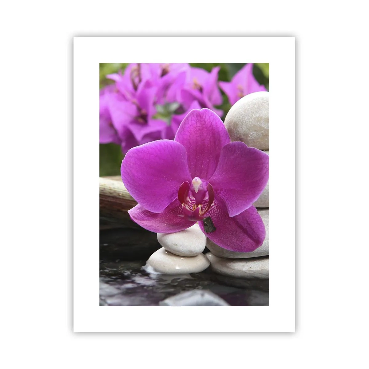 Pôster - Descanso imediato - 30x40 cm