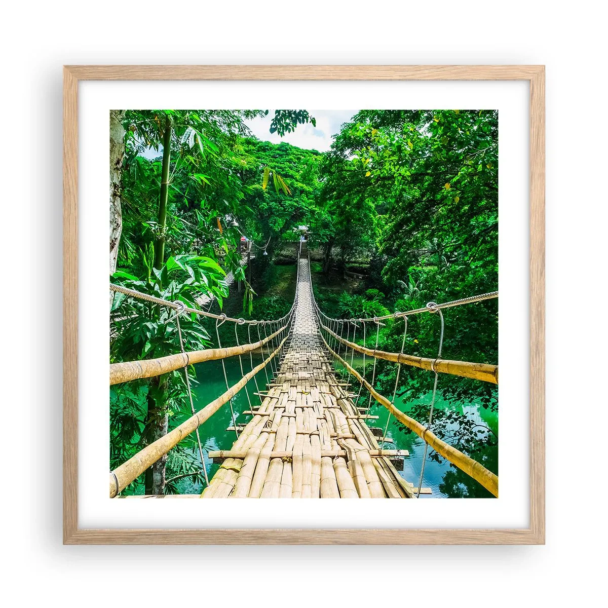 Pôster com moldura de carvalho claro - Ponte de macacos sobre a vegetação - 50x50 cm
