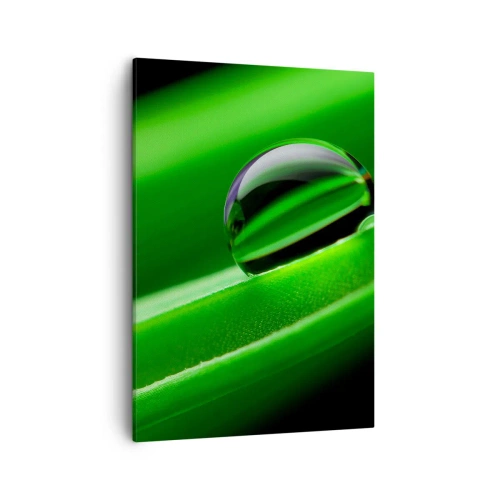 Quadro em tela - A vida de perto - 50x70 cm