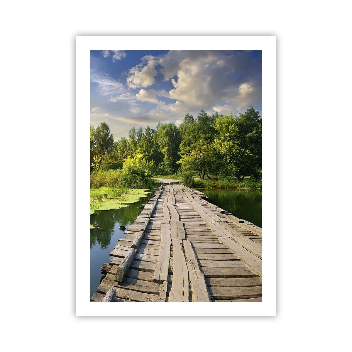 Pôster - Verão em todos os lugares - 50x70 cm