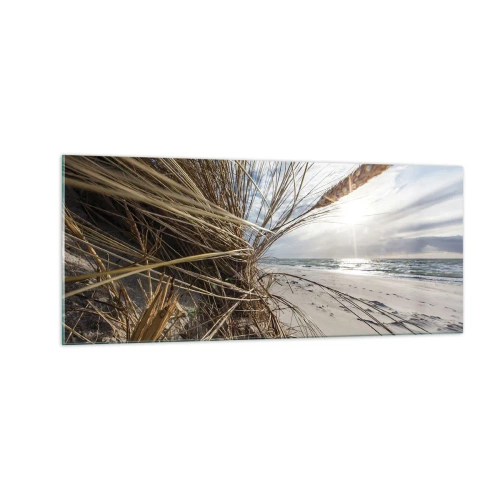 Quadro em vidro - Reunião dos rlementos da natureza - 100x40 cm