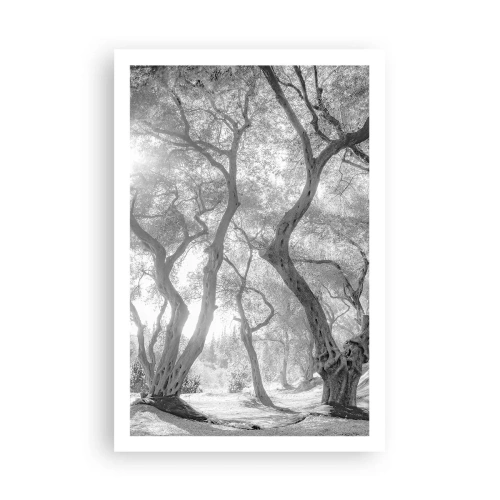 Pôster - No olival - 61x91 cm