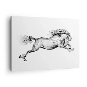 Quadro em tela - Desenho de um cavalo em galope dinâmico sobre fundo branco - 70x50cm - Parado a galope - Decoração de parede moderna para a sala de estar e quarto ARTTOR