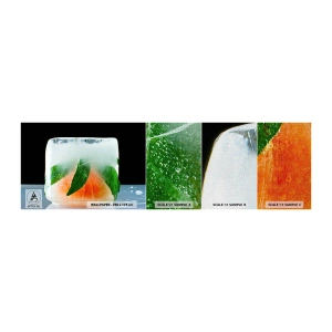 Amostra de papel de parede Premium Canvas - Frescor e refresco - Cubo de gelo, Laranja, Folha de menta - 100x30 cm