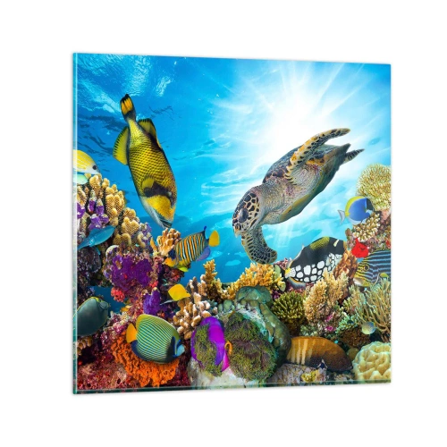 Quadro em vidro - Alameda dos corais - 70x70 cm