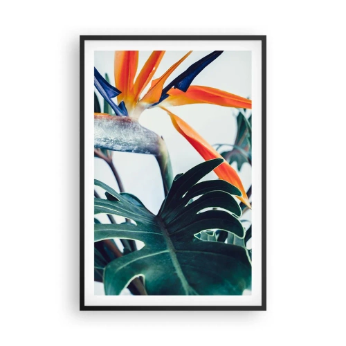 Pôster com moldura preta - Arbusto de passarinho - 61x91 cm