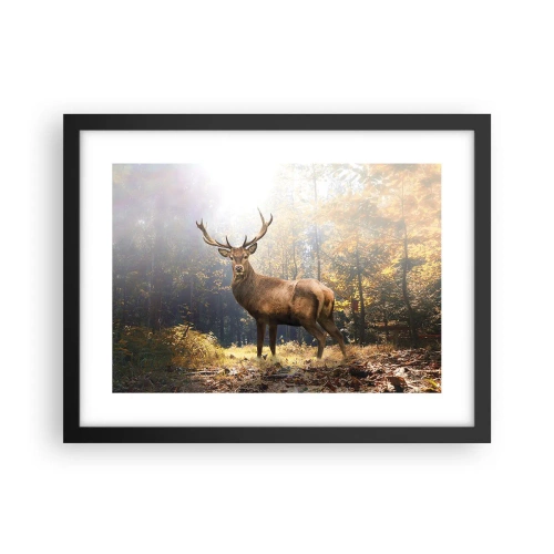 Pôster com moldura preta - Em plena majestade - 40x30 cm