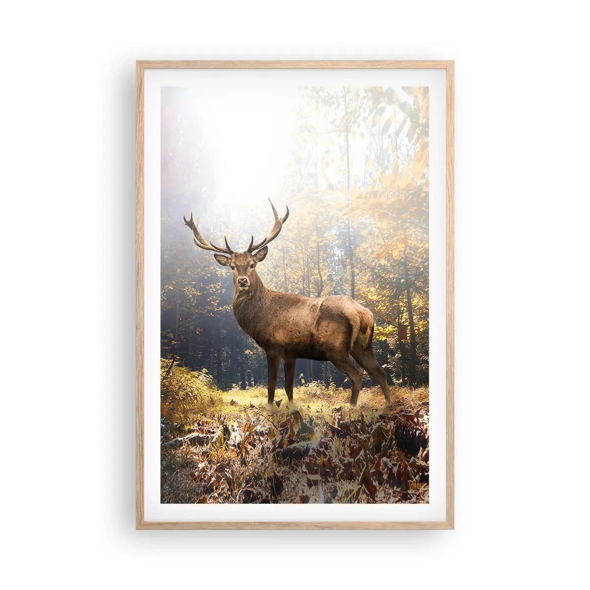 Pôster com moldura de carvalho claro - Em plena majestade - 61x91 cm