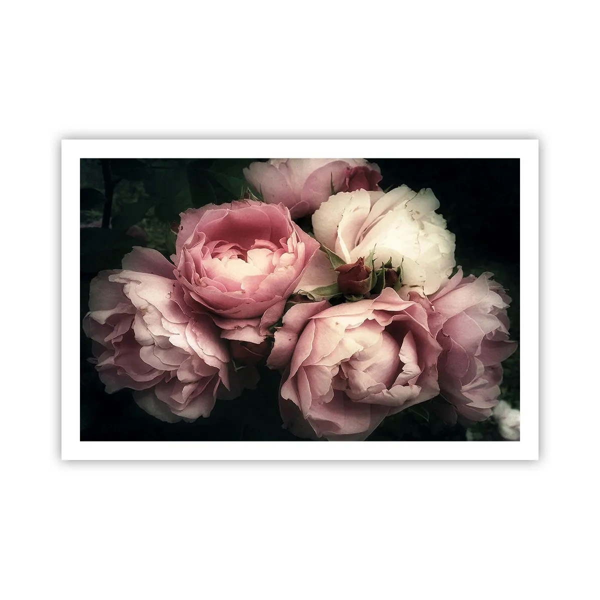 Pôster - O encanto da belle epoque - 91x61 cm