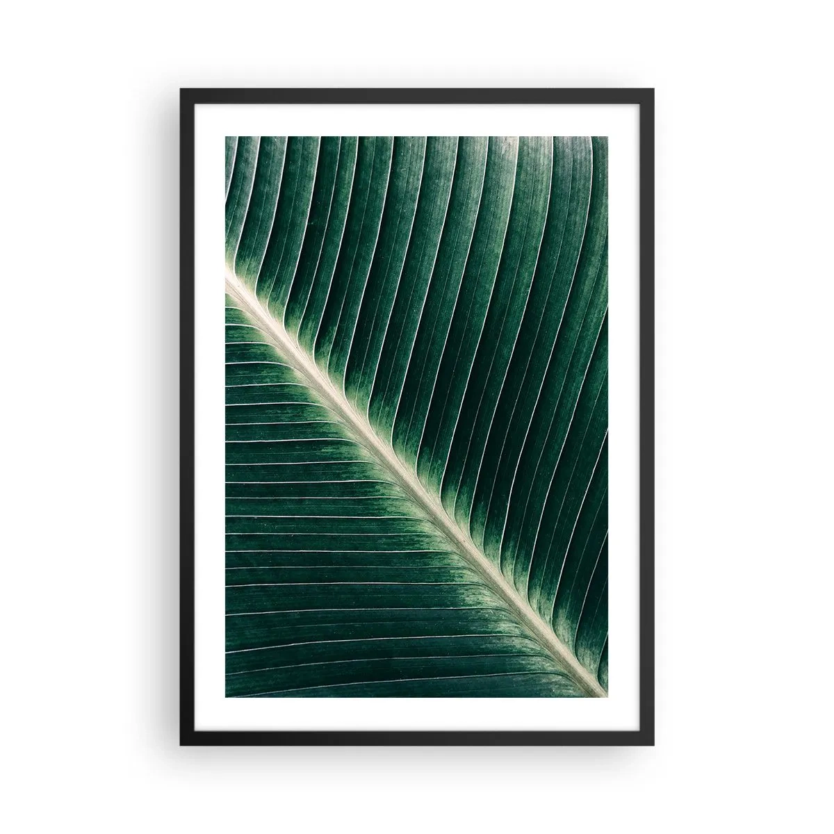 Pôster com moldura preta - Detalhe de uma folha verde com nervuras visíveis - 50x70cm - O ritmo da natureza - Decoração de parede moderna para a sala de estar e quarto ARTTOR
