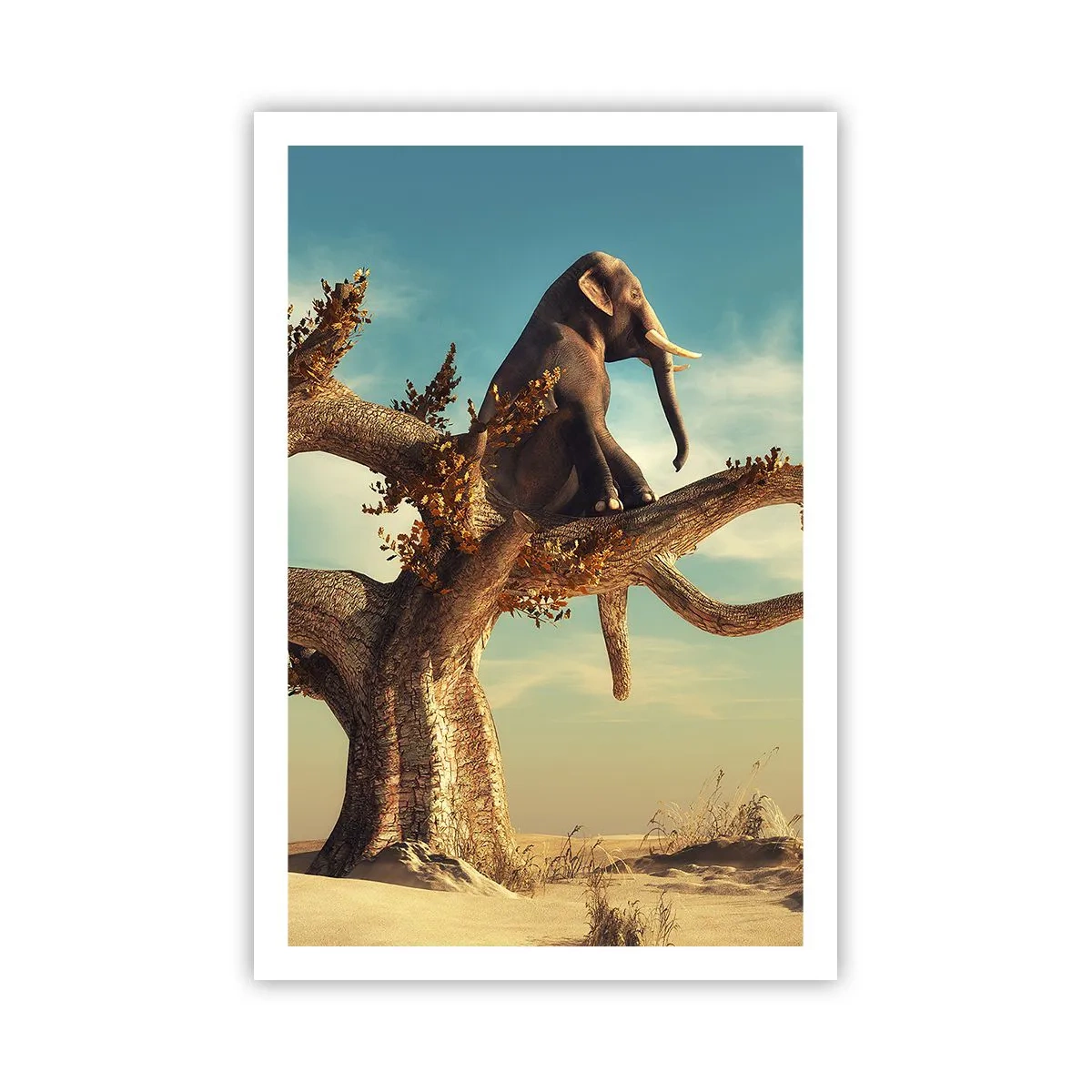 Pôster - Um novo ponto de vista - 61x91 cm