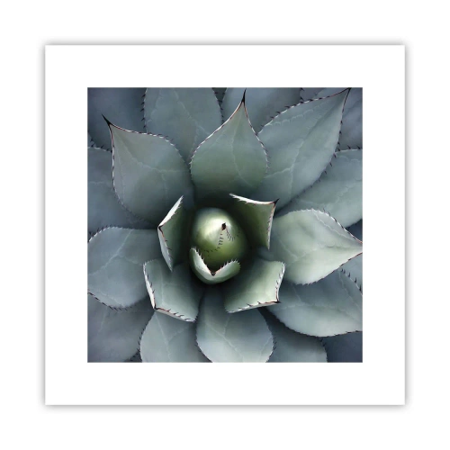 Pôster - Atrai e adverte - 30x30 cm