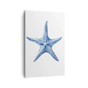 Quadro em tela - Estrela do mar - 80x120 cm