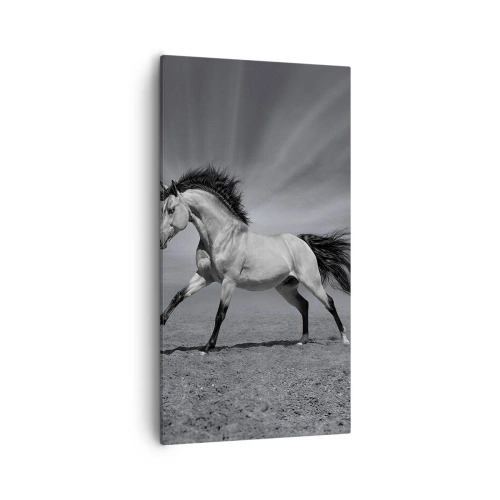 Quadro em tela - Nascido para encantar - 55x100 cm