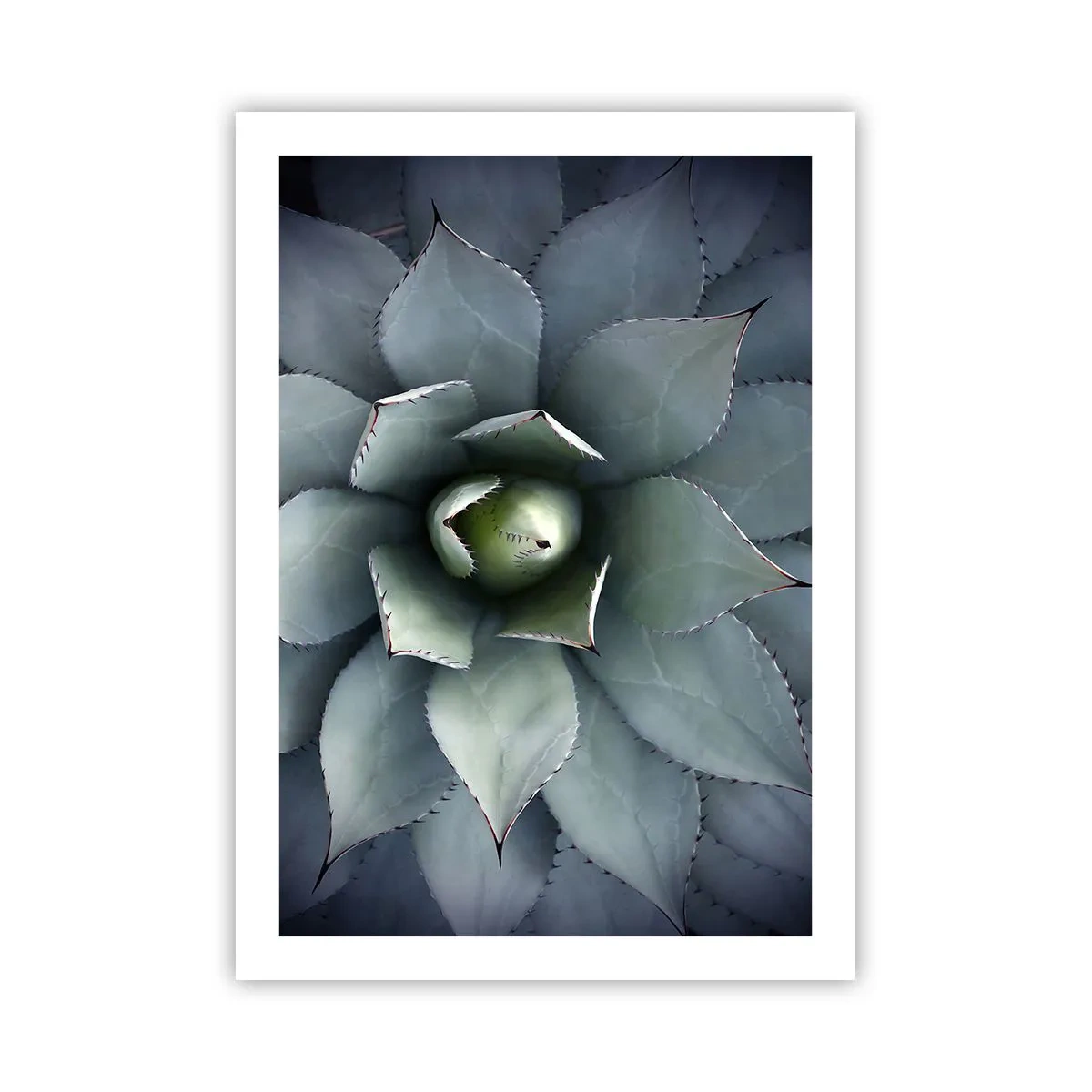 Pôster - Atrai e adverte - 50x70 cm