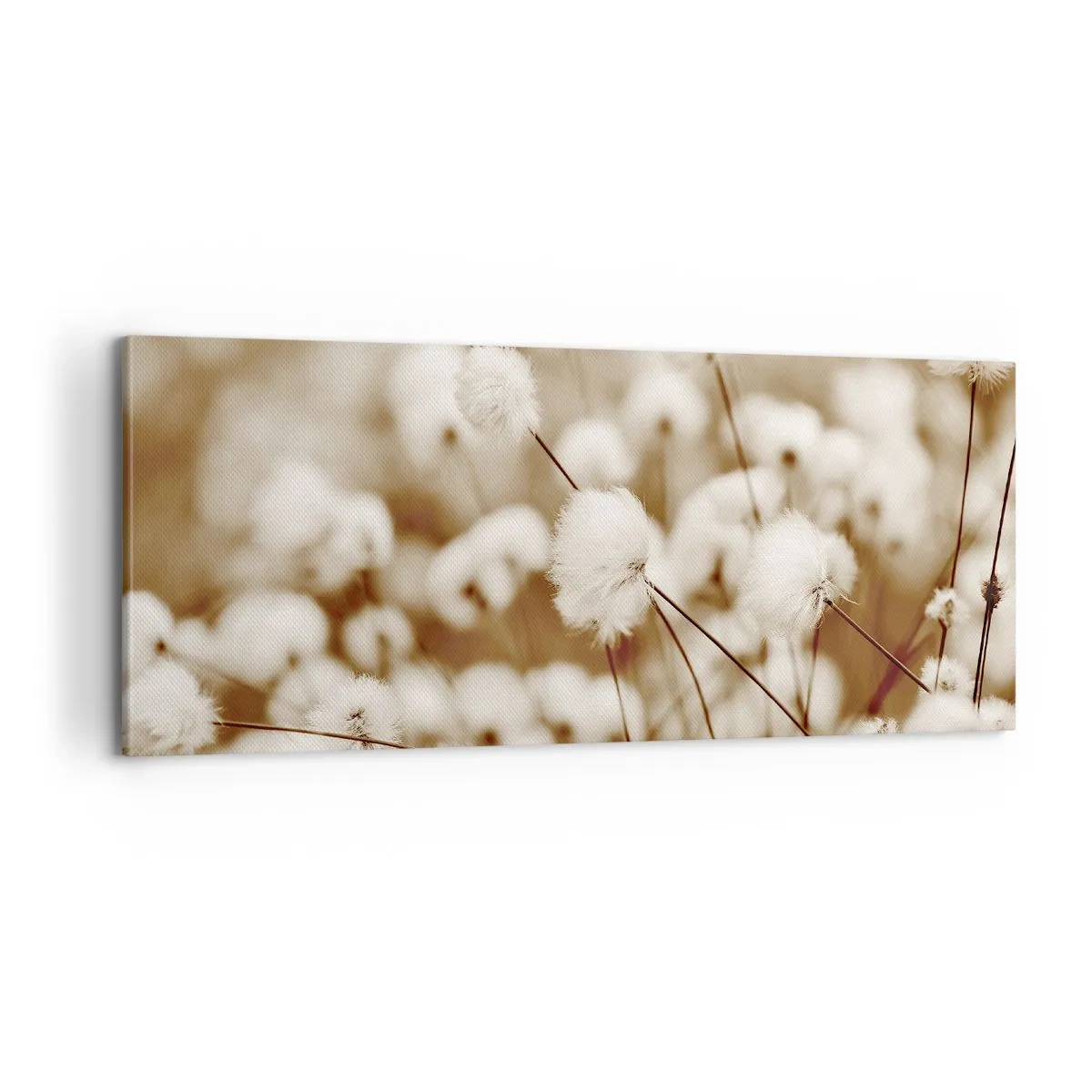 Quadro em tela - Campos felpudos - 100x40 cm