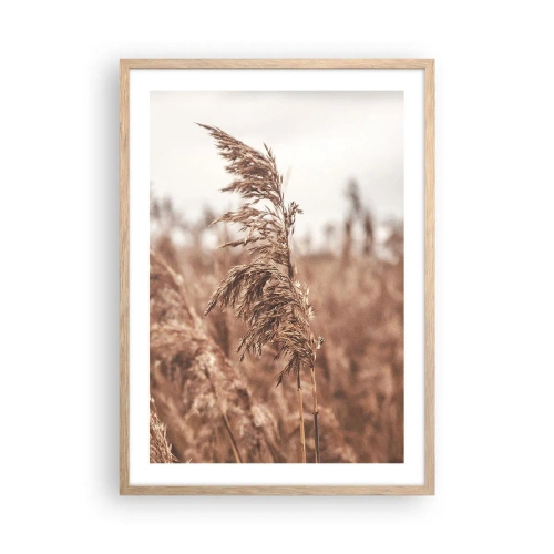 Pôster com moldura de carvalho claro - O outono já chegou ao campo - 50x70 cm