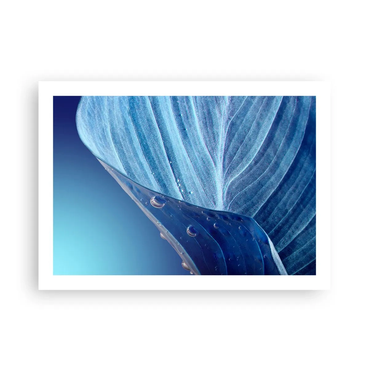 Pôster - Gotas escondidas no azul - 70x50 cm