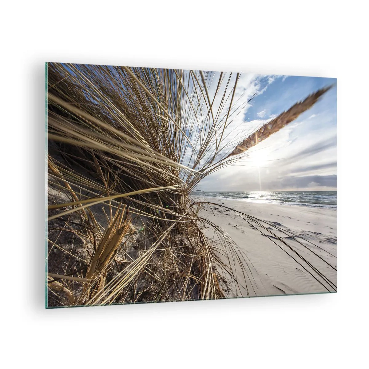 Quadro em vidro - Grama dourada tendo como pano de fundo uma praia de areia e o mar - 70x50cm - Reunião dos rlementos da natureza - Decoração de parede moderna para a sala de estar e quarto ARTTOR