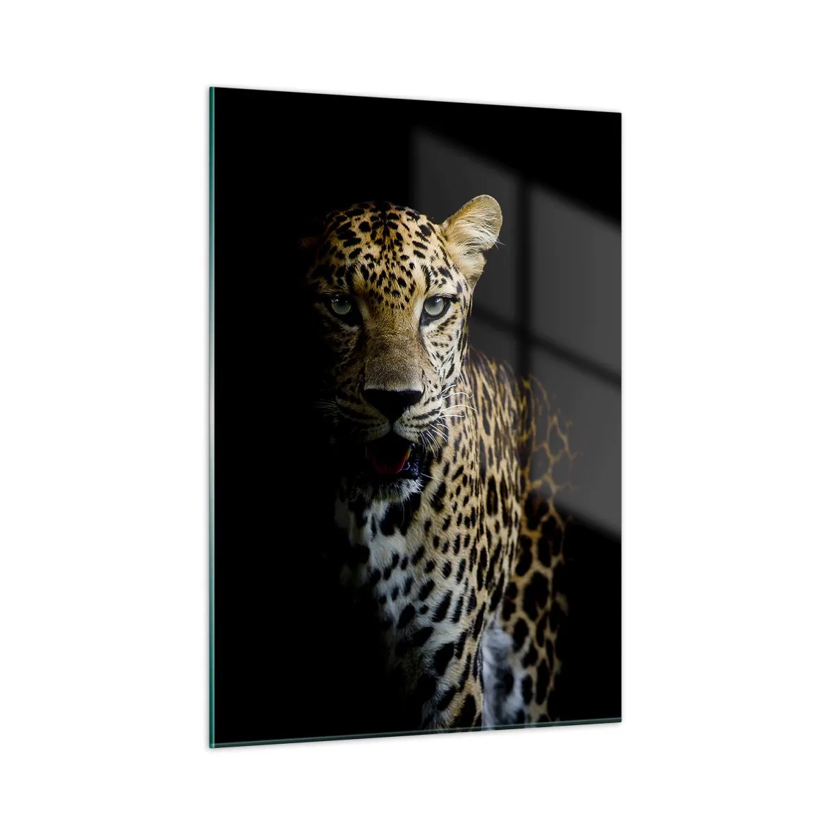 Quadro em vidro - Beleza escura - 50x70 cm