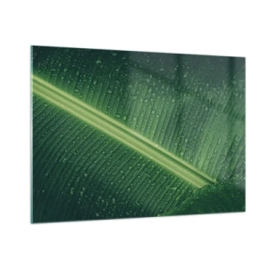 Quadro em vidro - A estrutura da vegetação - 100x70 cm