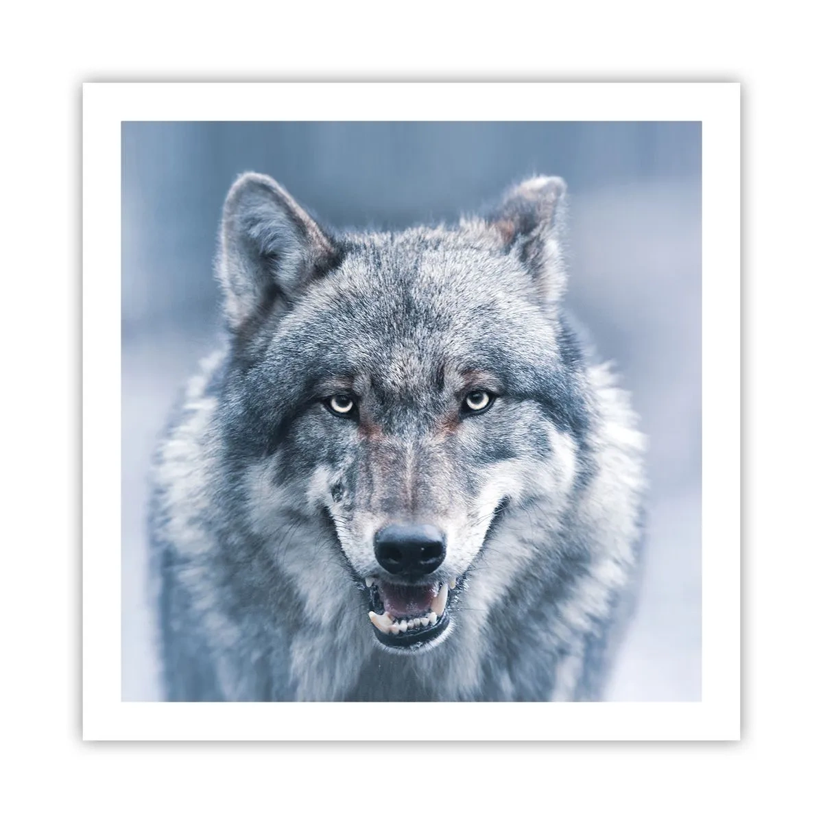 Pôster - Vai aceitar o desafio? - 60x60 cm