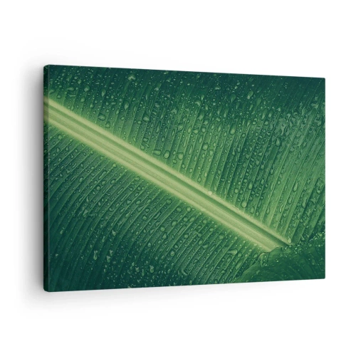 Quadro em tela - Uma folha verde com gotas de água em sua superfície - 70x50cm - A estrutura da vegetação - Decoração de parede moderna para a sala de estar e quarto ARTTOR
