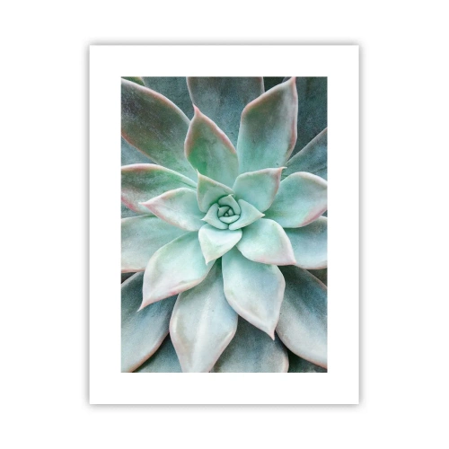 Pôster - O coração do deserto - 30x40 cm