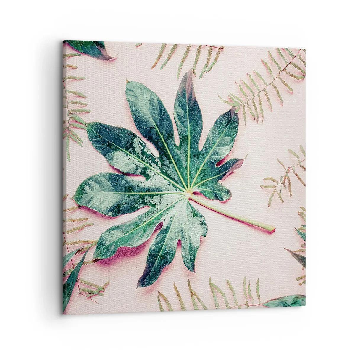 Quadro em tela - Estudo do verde em um fundo rosa - 50x50 cm