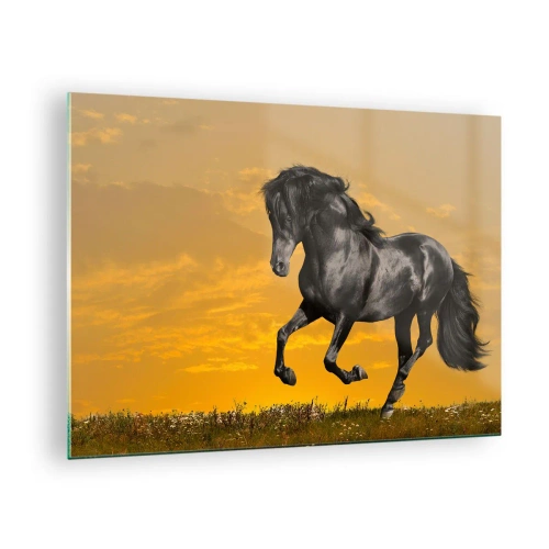 Quadro em vidro - Um cavalo preto galopando contra o pôr do sol - 70x50cm - Belo, livre e selvagem - Decoração de parede moderna para a sala de estar e quarto ARTTOR