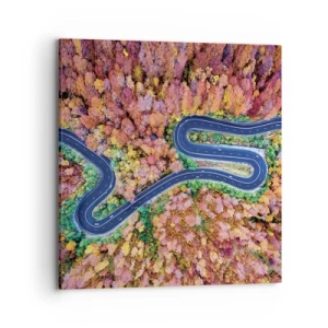 Quadro em tela - Estrada sinuosa pela floresta - 70x70 cm