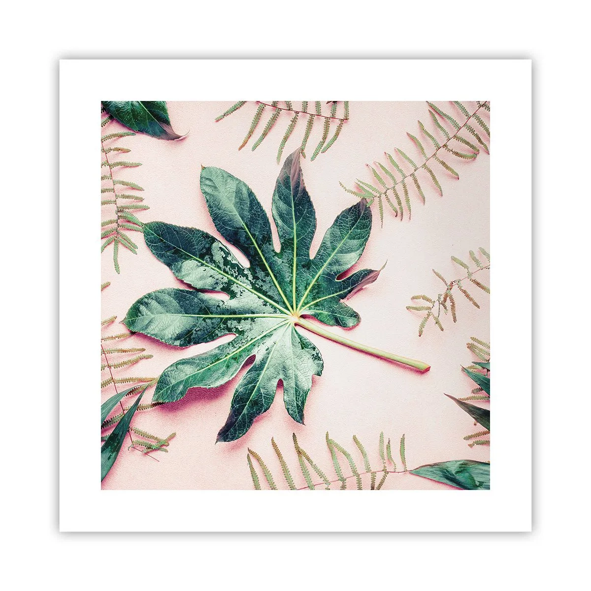 Pôster - Estudo do verde em um fundo rosa - 40x40 cm