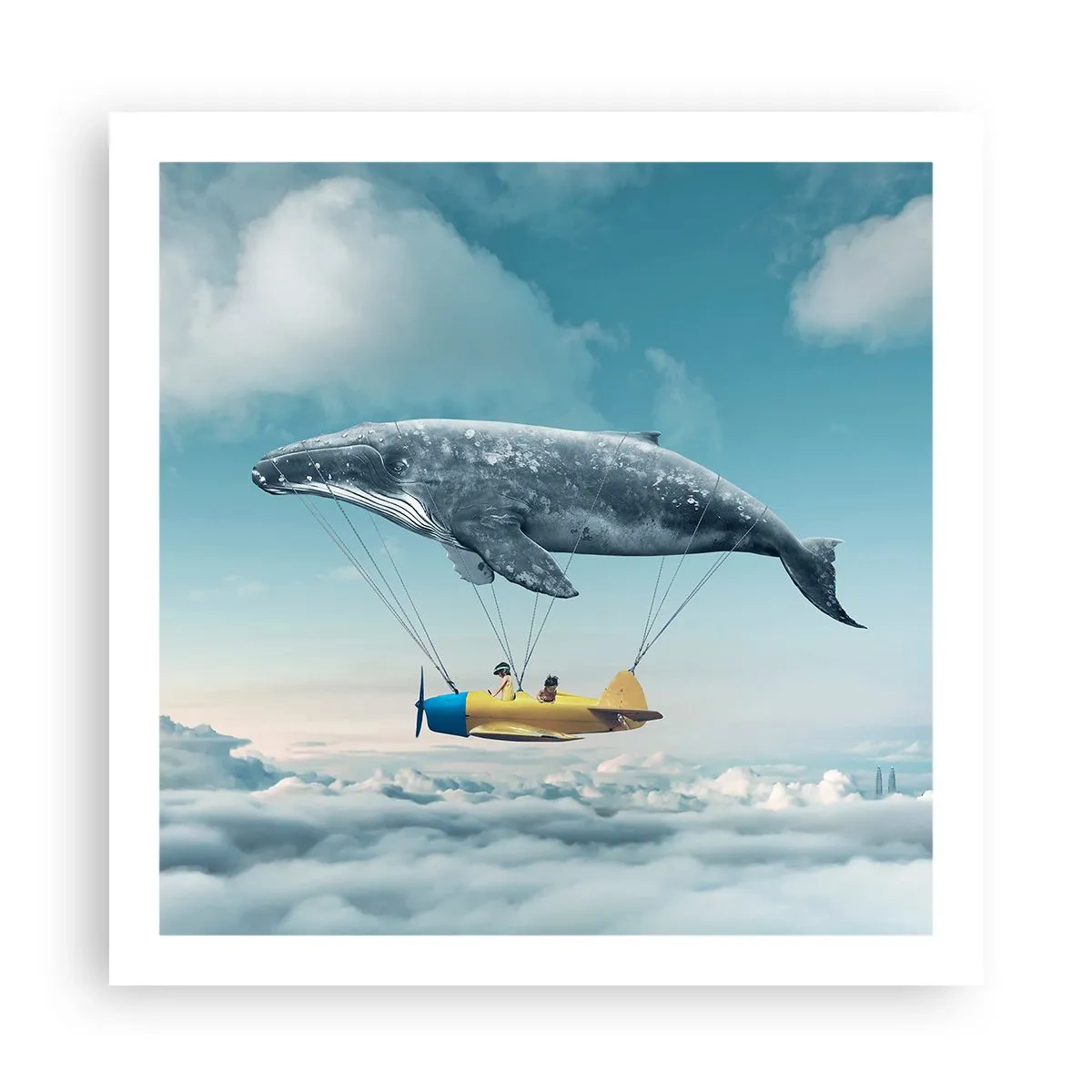 Pôster - Por que não? - 60x60 cm