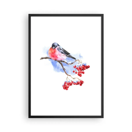 Pôster com moldura preta - Um pássaro em um galho com frutas vermelhas - 50x70cm - Inverno a cores - Decoração de parede moderna para a sala de estar e quarto ARTTOR